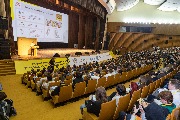 IMG_1382.jpg
