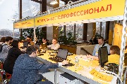 IMG_0919.jpg